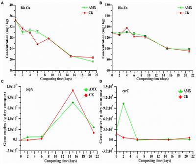 Environmental drivers and interaction mechanisms of heavy metal and antibiotic resistome exposed to amoxicillin during aerobic composting